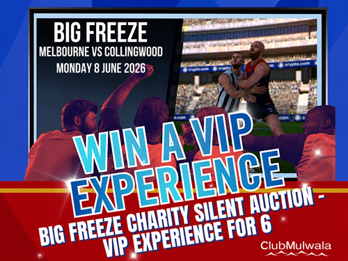 Big Freeze Charity Silent Auction